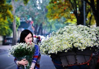 Hanoi hoa